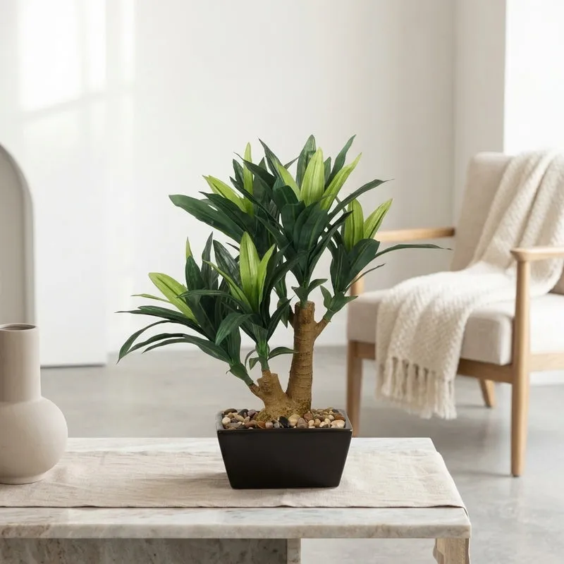 Faux Dracaena Bonsai In Ceramic Pot - 41 cms media 1