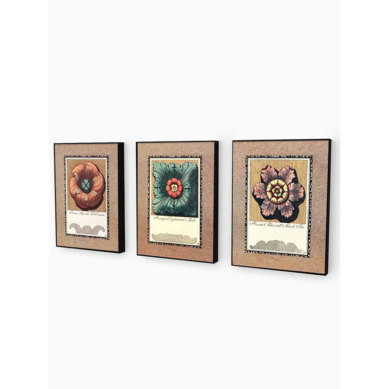 Aeris Flora Wall Painting - Set Of Three media 5