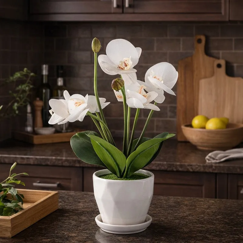AarviDecor Elegant Bloom Silk Artificial Plants media 4