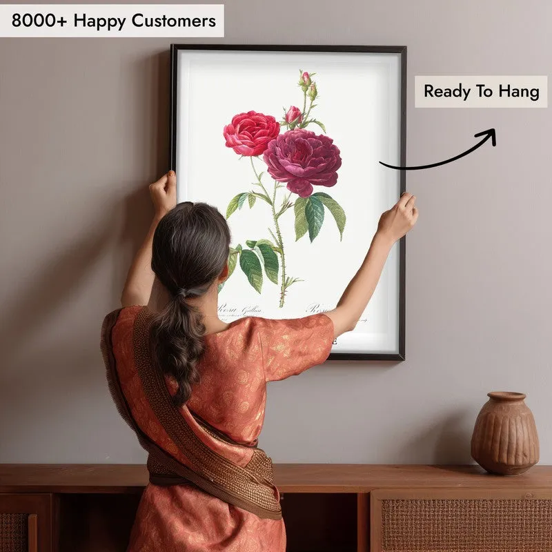 Purple French Rose Joseph Redout Archival Canvas Wall Painting - Black Frame media 6