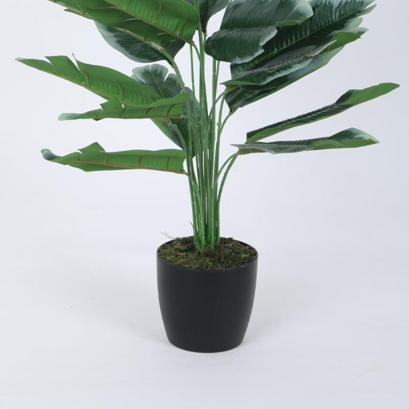 Faux Mini White Calathea Plant With Black Plastic Pot - 60 cms media 4