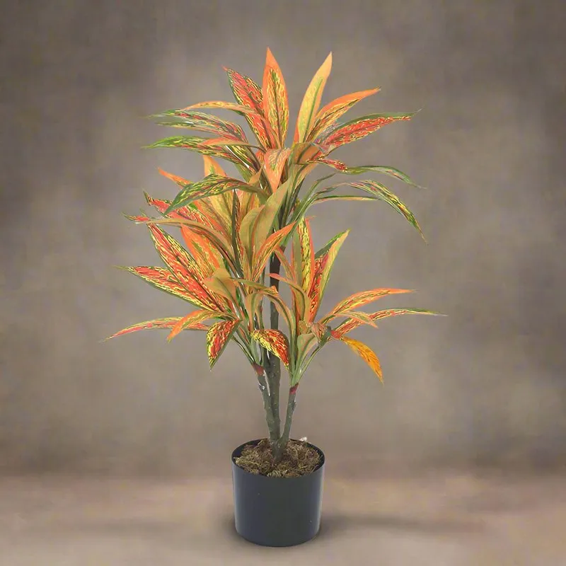 Faux Realtouch Yellow Dracaena Tree With Black Plastic Pot - 2.5 Feet media 3