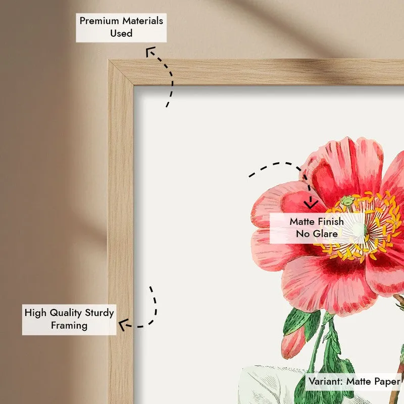 Springs Embrace Archival Paper Wall Art - Natural Brown Frame media 6