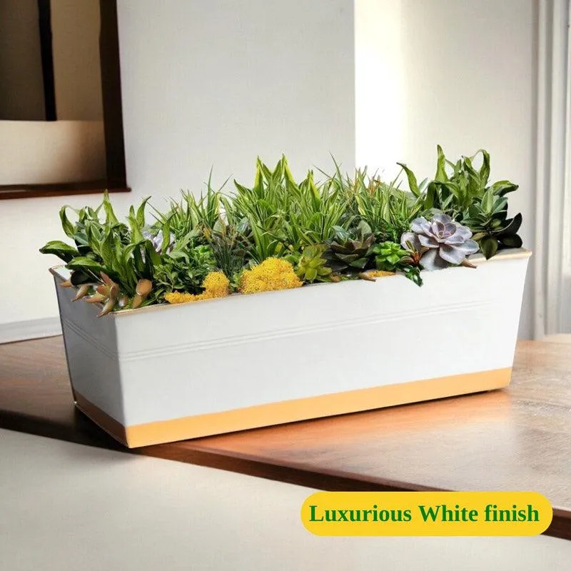 Zutoia Black Planter - Grey media 4
