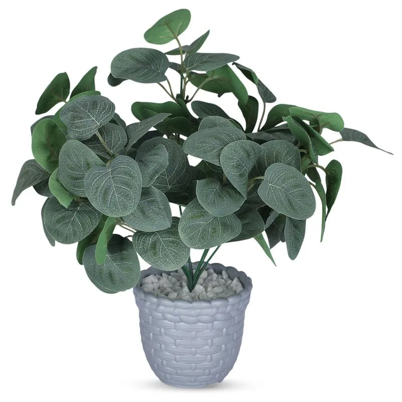 Foliyaj Artificial Green Eucalyptus Plant in Grey Pot media 4