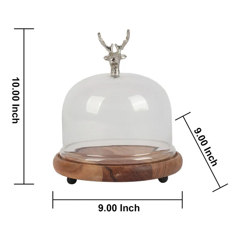 Droxen Cake Stand media 8