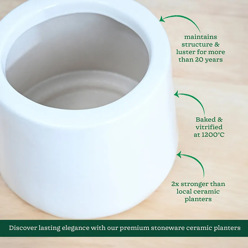 Ugaoo Captain Clay Ceramic Planter - White & Green media 5