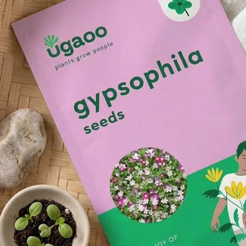 Ugaoo Gypsophila Seeds (200 Seeds) media 3