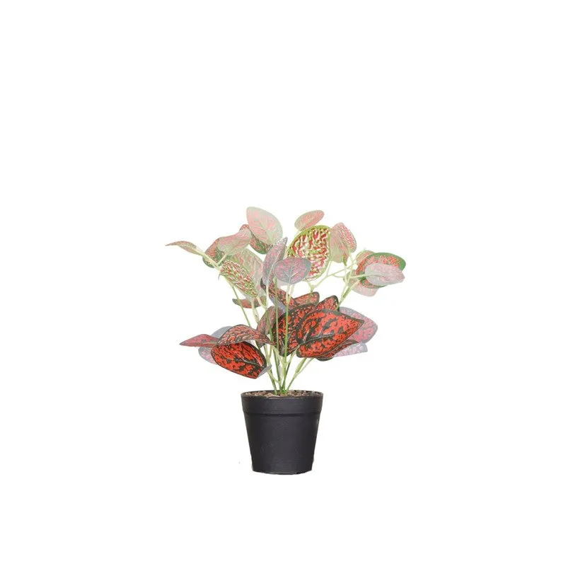 Artificial Nerve Plant With Black Fiber Pot (Red) - 0.9 Feet media 4