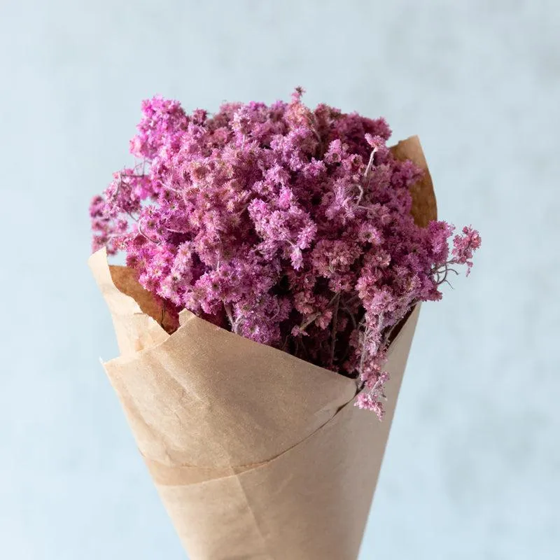 Gypso Glam Dried Flower Bunch - Pink media 3
