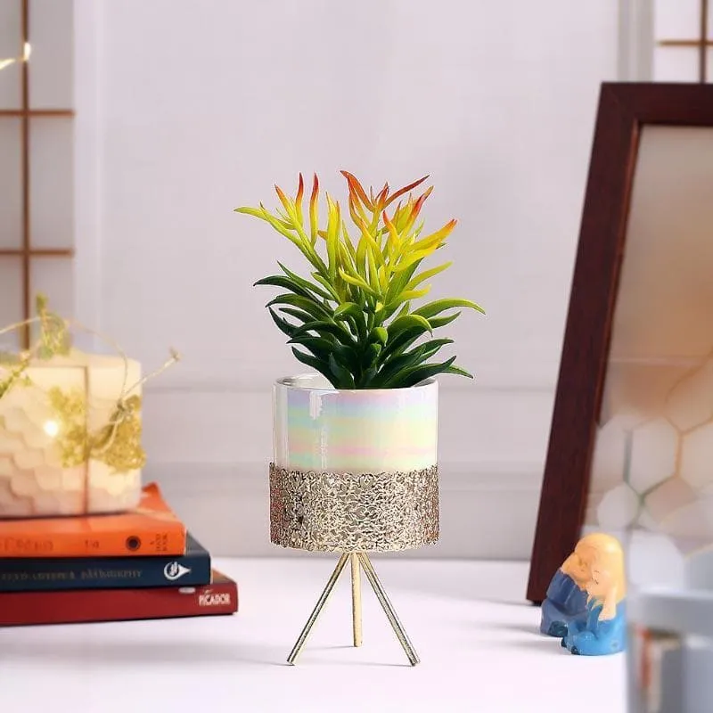 Faux Senecio In Ceramic Pot With Tripod - 25.5 cms media 1
