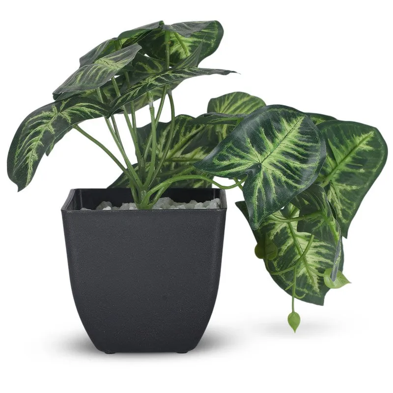 Artificial Arrowhead Plant With Black Plastic Pot media 3