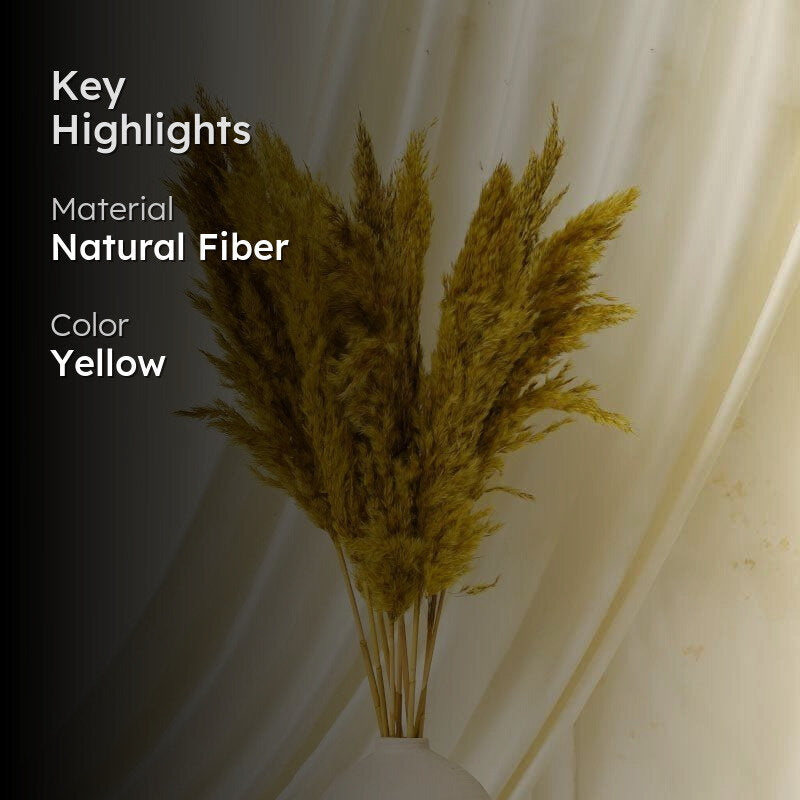 Puffy Pampas Stems (2.62 ft) - Yellow media 2