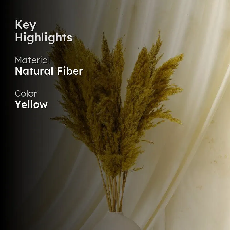 Puffy Pampas Stems (2.62 ft) - Yellow media 2