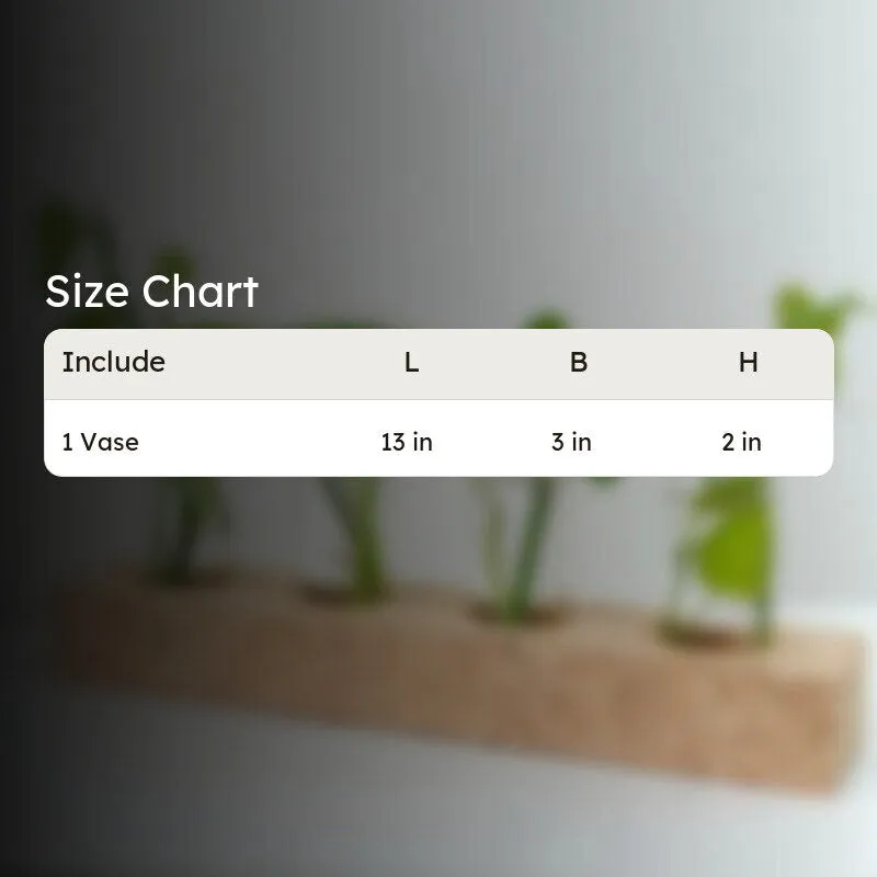 Niam Cork Testube Planter media 4