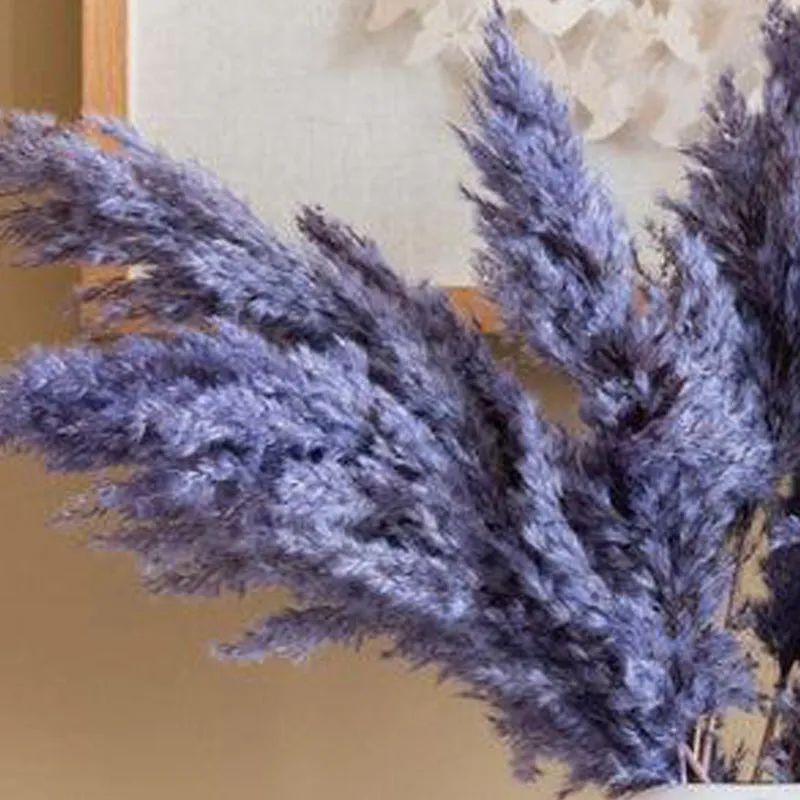 Sittora Pampas Stick (Lavender) - Set Of Ten media 5