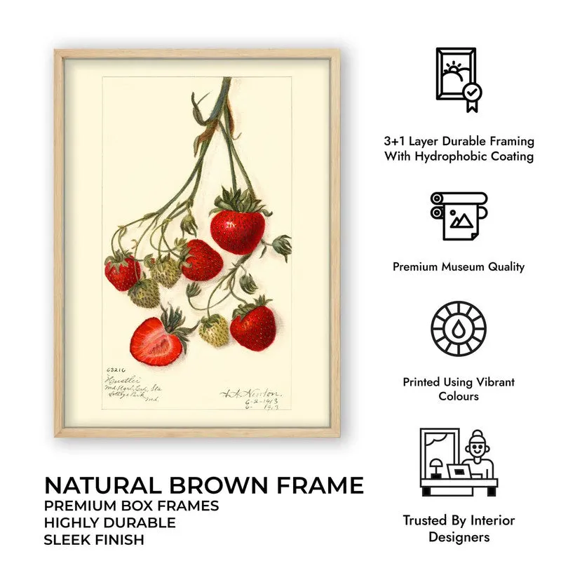 Sweet Citrus Archival Canvas Wall Art - Brown media 11
