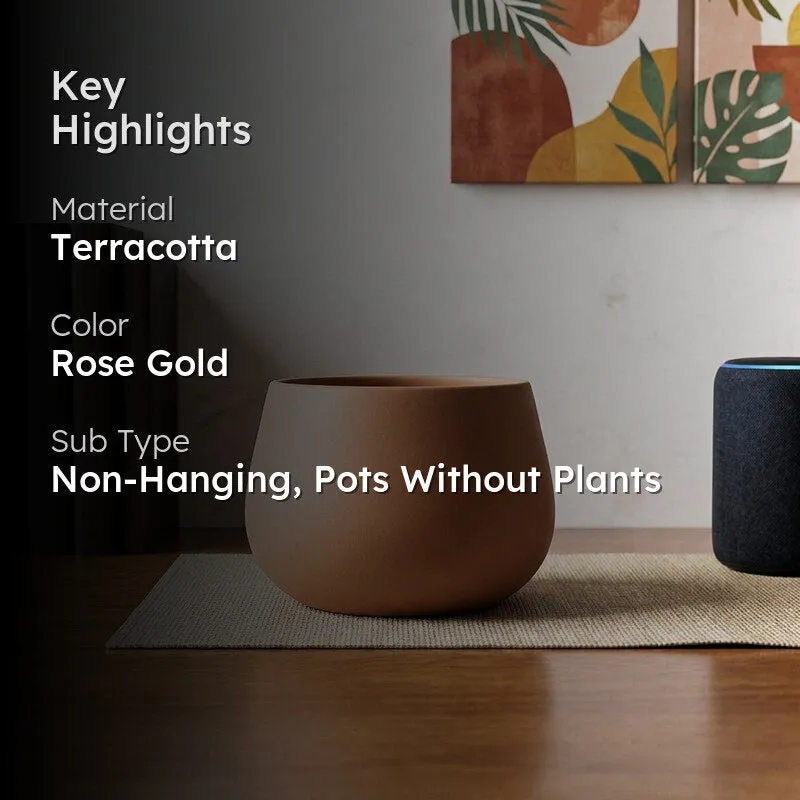 Rose gold planter in an interior setting with text overlay
