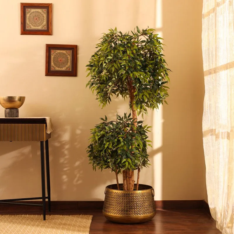 Artificial Ficus Bonsai Plant With Black Plastic Pot - 5.2 ft media 1
