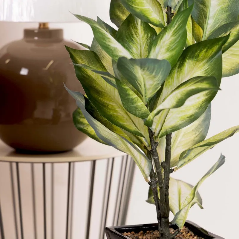 Artificial Golden Dieffenbachia Plant Without Pot - 2 Feet media 5