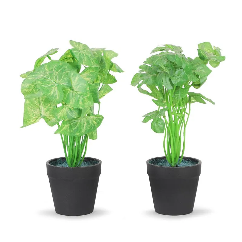 Neonix Monstera Artificial Plant With Plastic Pot - 0.8 Feet media 3