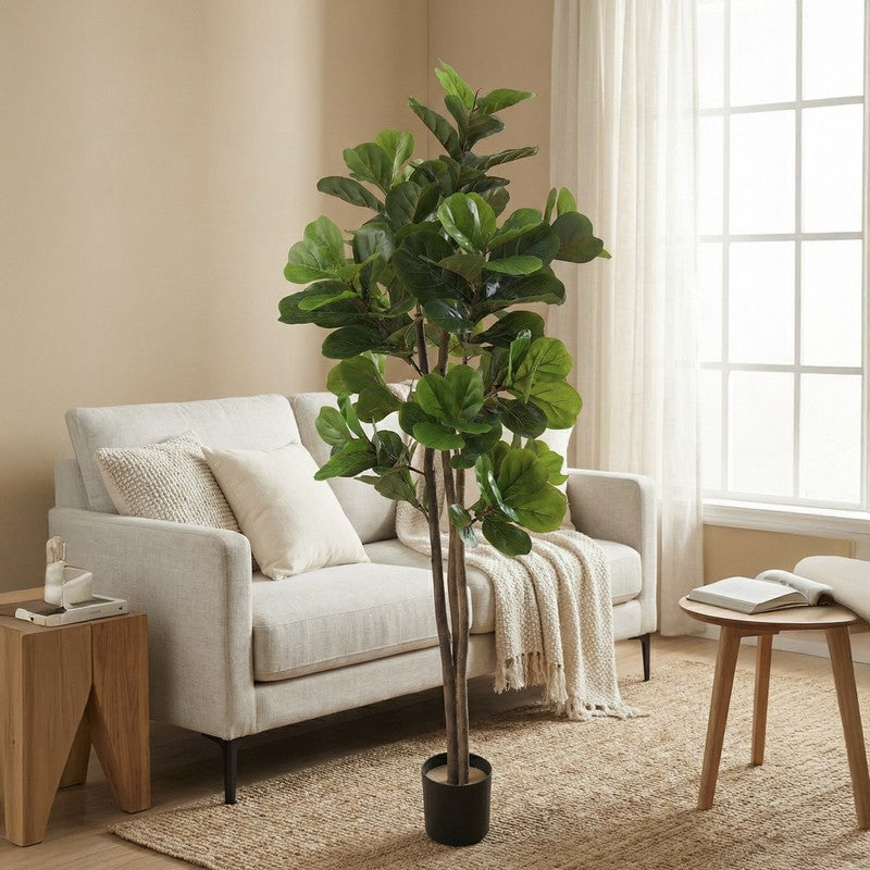 Tropella Fiddle Fig Plant Wit Pot - 5.9 ft media 2