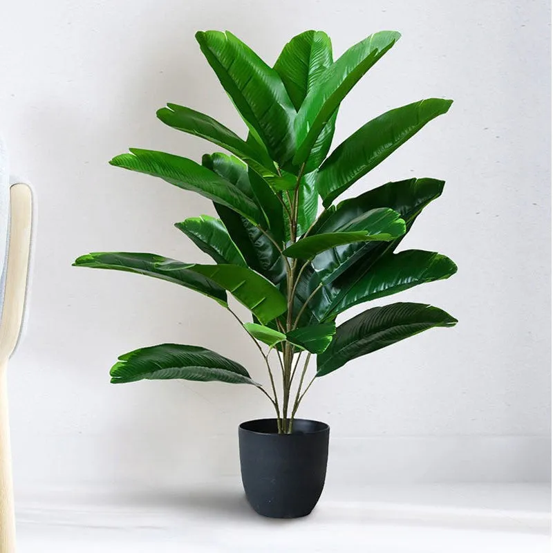 Faux Evergreen Birds of Paradise Plant With Black Plastic Pot - 79 cm (2.6 ft) media 3