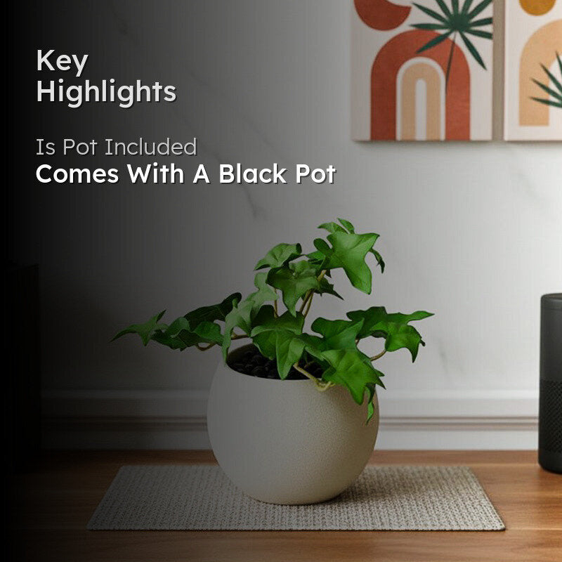 Ivella Artificial Mini Ivy Plant With Basic Black Plastic Pot - 14 cm media 2