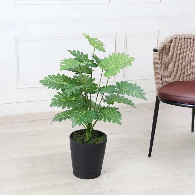 Pureleaf Philodendron Artificial Plant Without Pot - 2.3 Feet media 2