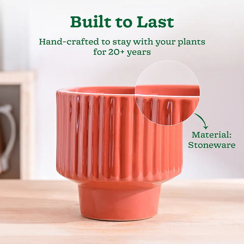 Ugaoo Classic Stria Ceramic Planter - Coral media 3