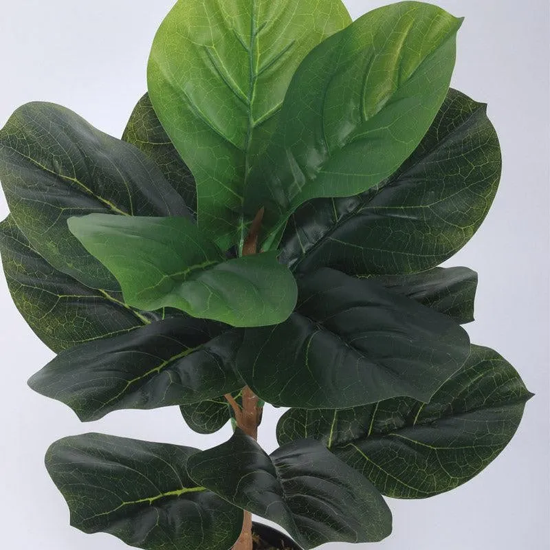 Faux Realtouch Green Fiddle Leaf Fig Tree With Black Plastic Pot - 2.5 Feet media 5