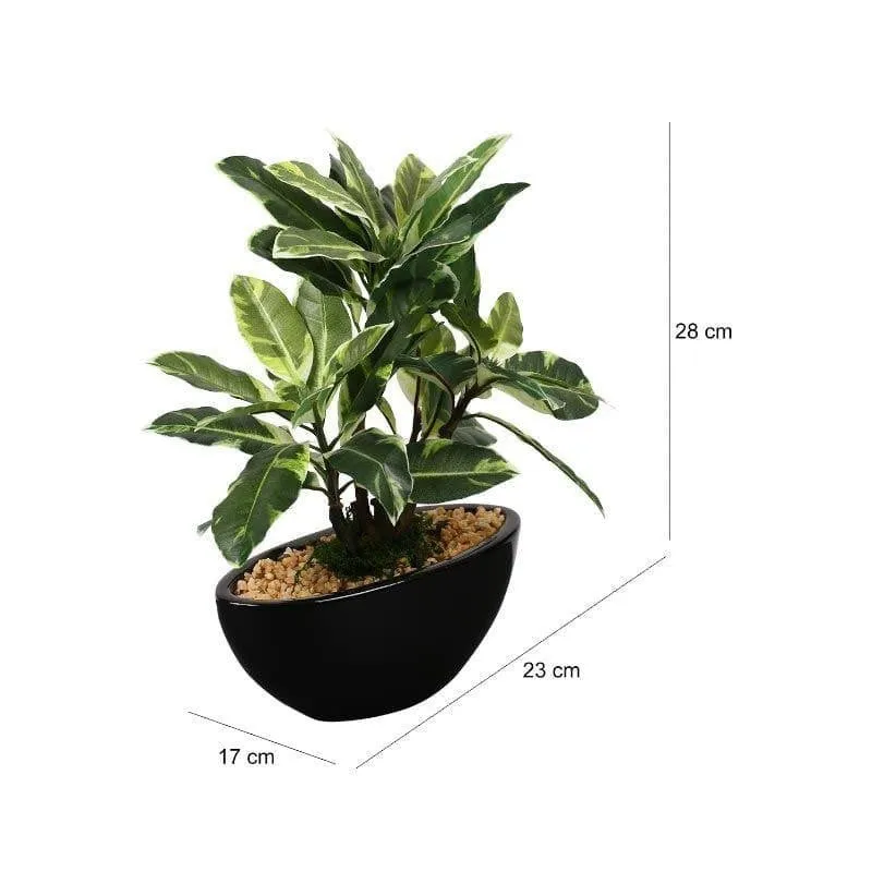 Faux Quercus Bonsai In Bowl Pot (29 cms) - White media 4