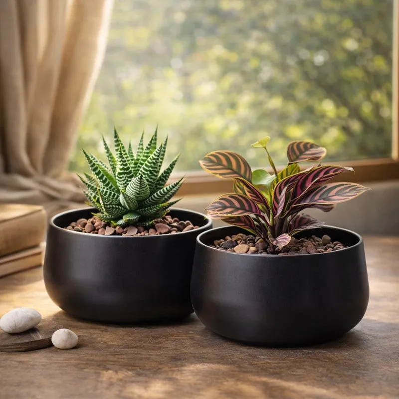 MinimalAura Pots & Planters (Black) - Set of Two media 5
