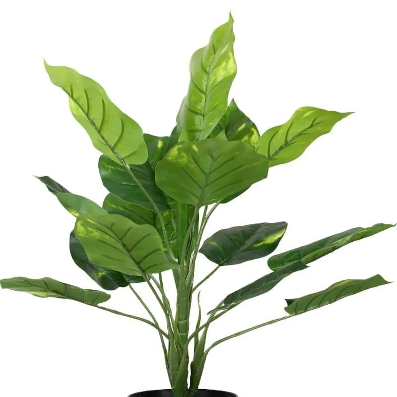 Faux Touch Pothos Bonsai In Black Plastic Pot - 45 cms media 4