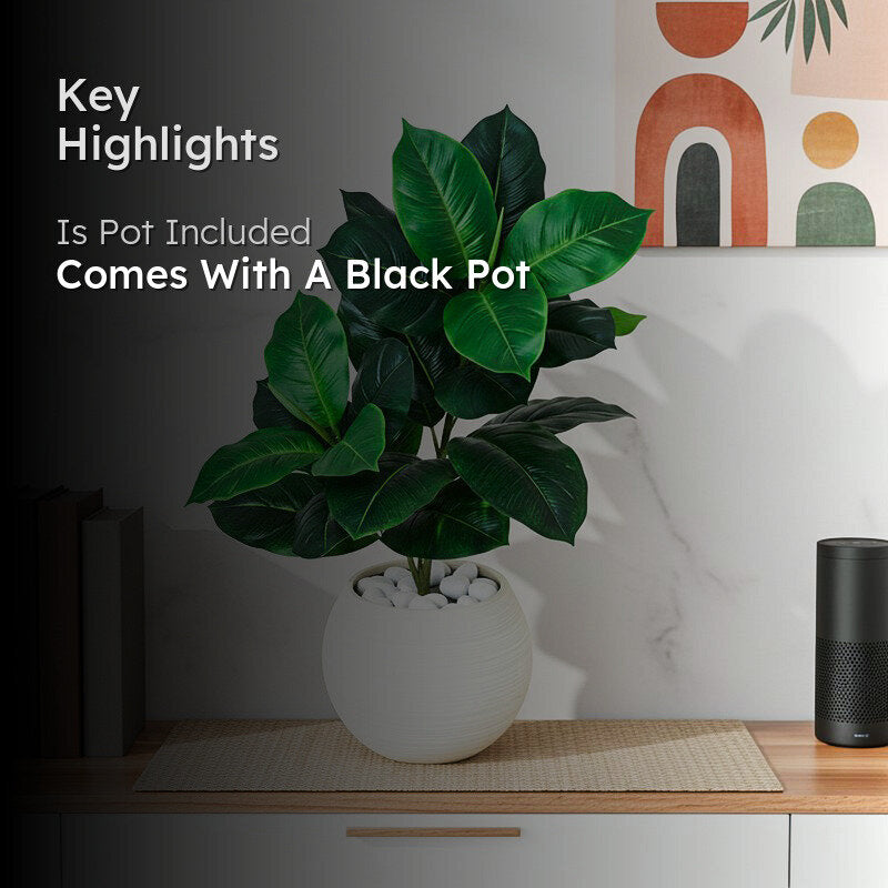 Faux Everlasting Dieffenbachia Seguine Plant With Black Plastic Pot - 75 cm (2.5 ft) media 2