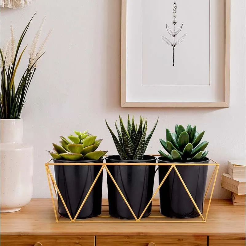 Minimalist Desk Planters media 3