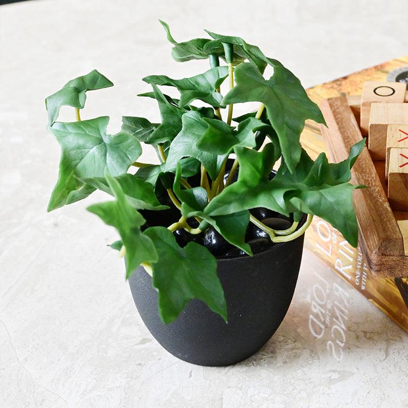 Ivella Artificial Mini Ivy Plant With Black Plastic Pot (Dark Green) - 14 cm media 4