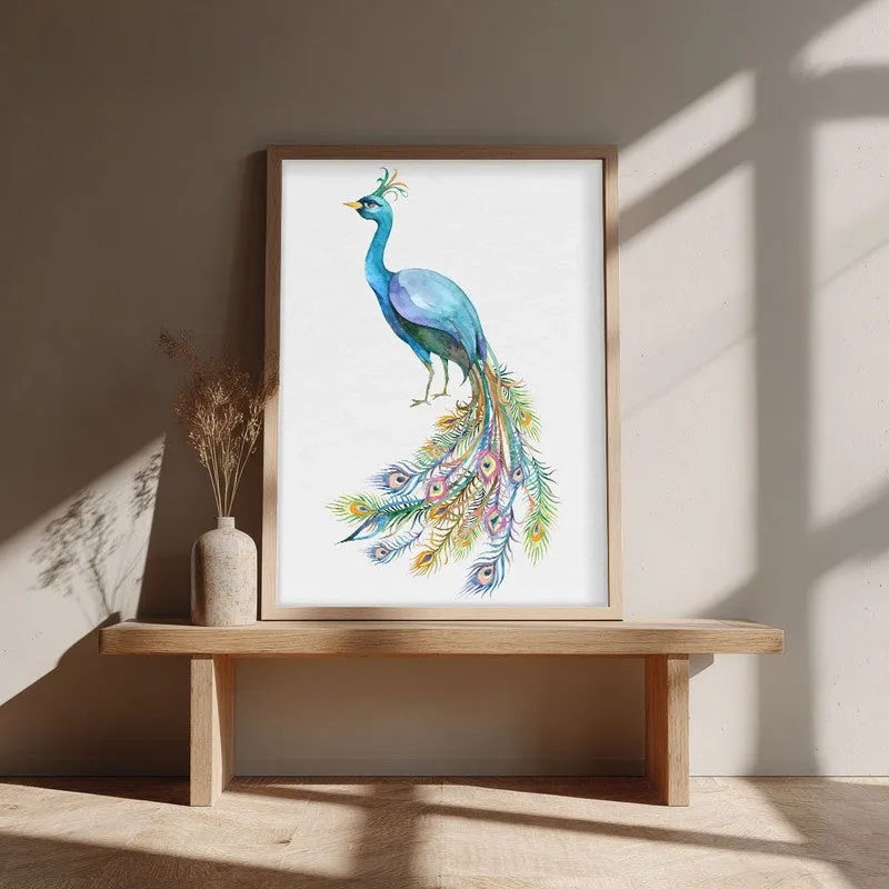 Fragile Peacock Archival Paper Wall Art - Natural Brown Frame media 1