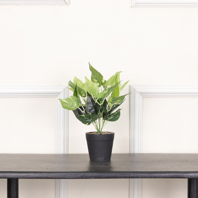 Artificial Pothos Plant With Black Pot (Green) - 0.9 Feet media 3