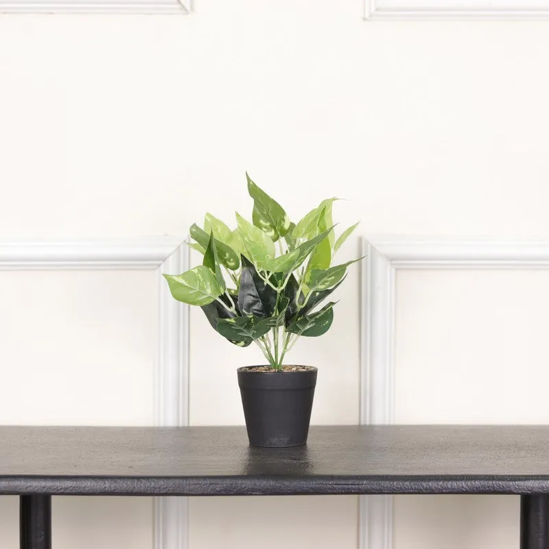 Artificial Pothos Plant With Black Pot (Green) - 0.9 Feet media 3