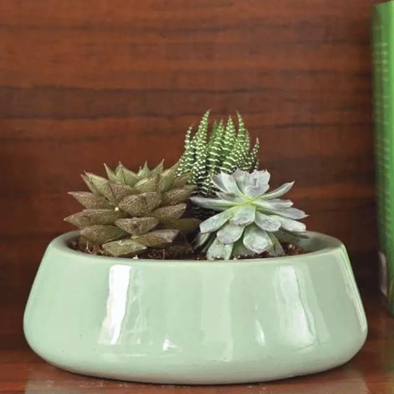 Ugaoo Tulip Fantasy Ceramic Planter (19 CM) - Aqua media 4