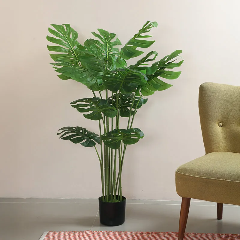Monista Artificial Monstera With Black Plastic Pot - 4 Feet media 3