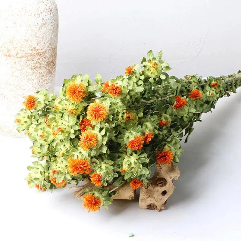 Dried Safflower - Set Of Five media 3