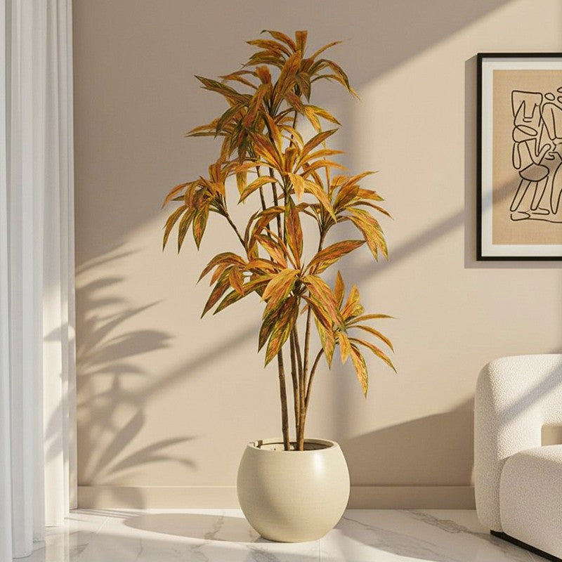 Ventira Artificial Dracaena Green Tree With Black Plastic Pot 5.6 ft