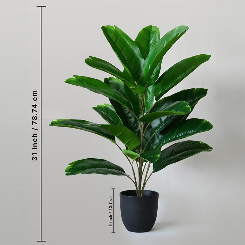Faux Evergreen Birds of Paradise Plant With Black Plastic Pot - 79 cm (2.6 ft) media 6