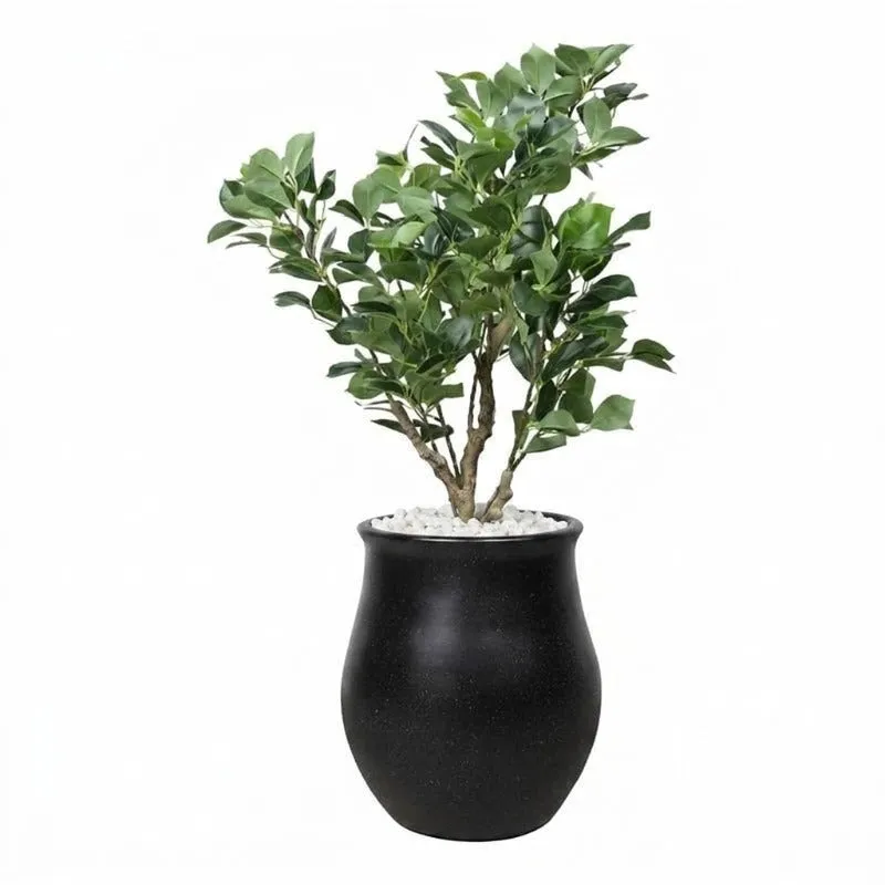 Black floor planter with a leafy plant against a white background