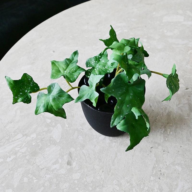 Ivella Artificial Mini Ivy Plant With Basic Black Plastic Pot (Green) - 14 cm media 7