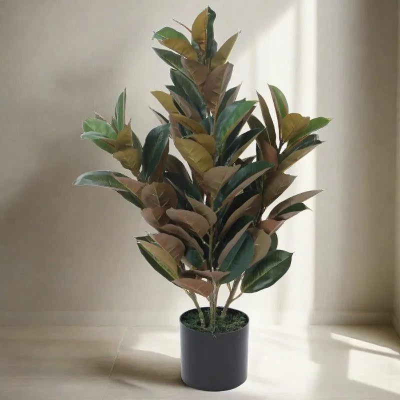 Faux Red Fig Rubber Plant With Black Plastic Pot - 2.79 ft media 4