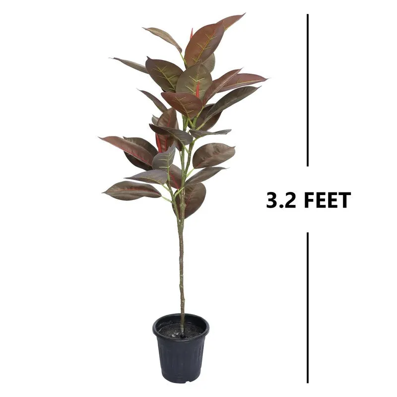 CozyFlora Artificial Rubber Plant With Black Plastic Pot - 2.5 Feet media 8