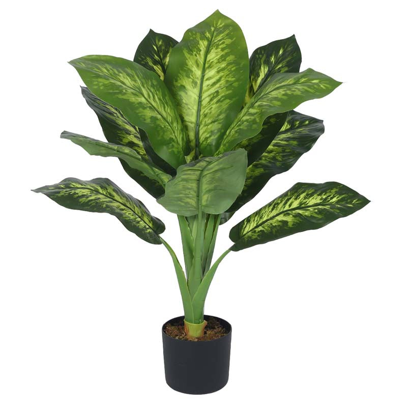 Faux Lush Dieffenbachia Plant With Black Plastic Pot - 3.0 Feet media 4
